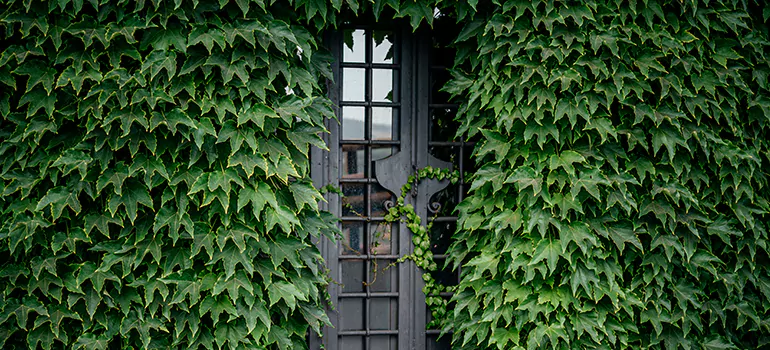 Garden Gate Repair in Warrington, FL